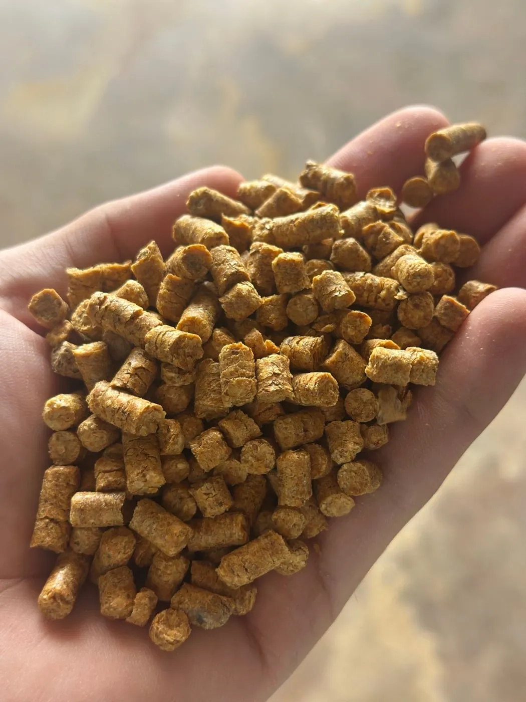 Pellets na palma da mão, em close.